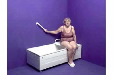 HOUSE > BATHROOM > BATHTUB > HAND RAIL