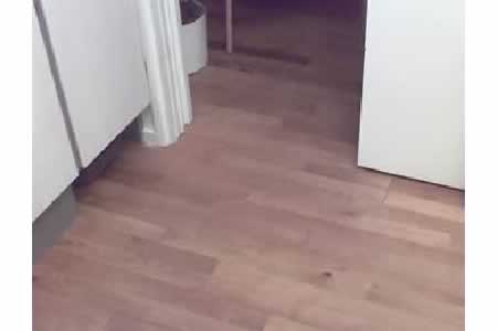 CASA > ASPETTI GENERALI > PORTE > SOGLIE