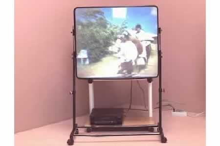 CASA > SALOTTO > TELEVISIONE > SCHERMI