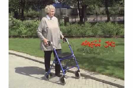 HOUSE > GETTING AROUND > MOVING > WALKING AIDS