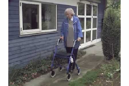 CASA > GIARDINO > INFORMAZIONI GENERALI > SPAZIO