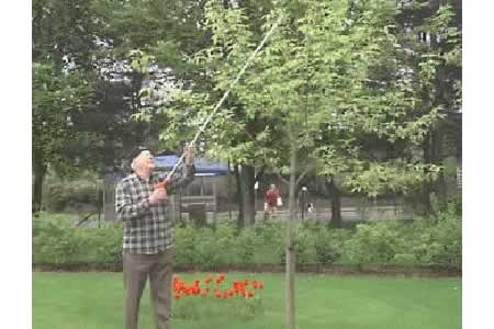 CASA > GIARDINO > AUSILI PER GIARDINAGGIO > MANIGLIE