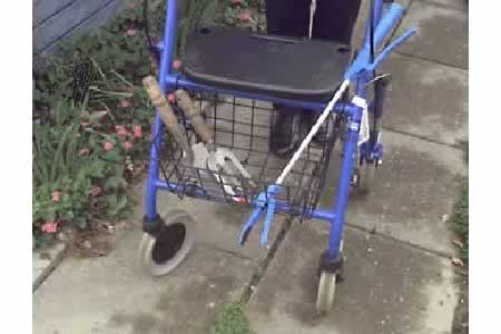 HOUSE > GARDEN > OVERVIEW > GETTING AROUND