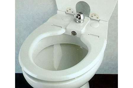 HOUSE > BATHROOM > TOILET > AIDS OR CLEANING