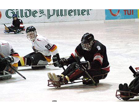 SPORTS > HOCKEY > ICE SLEDGE HOCKEY > ACCESSORIES