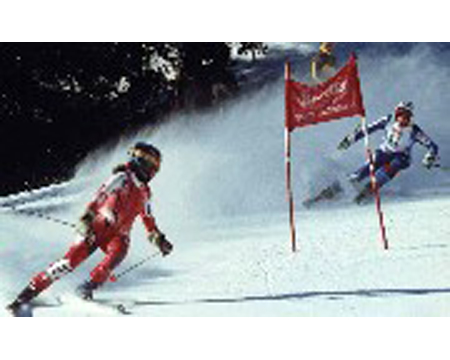 SPORT > SCI ALPINO > SCI ALPINO NON VEDENTI > AUSILI