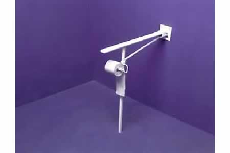 HOUSE > BATHROOM > TOILET > AIDS OR CLEANING