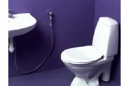 HOUSE > BATHROOM > TOILET > AIDS OR CLEANING