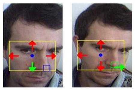 AIDA - FACEMOUSE SOFTWARE