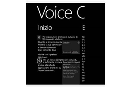 MICROSOFT - VOICE COMMANDS
