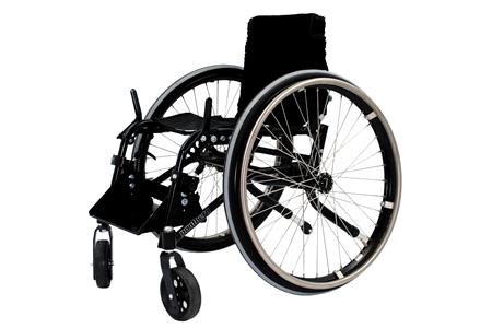 PANTHERA - PANTHERA BAMBINO