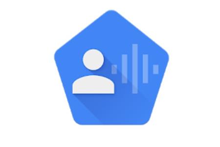 GOOGLE APP - VOICE ACCESS