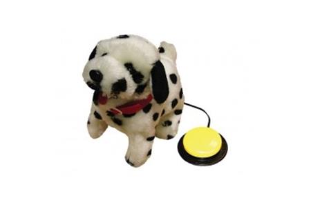 ALBAMATIC - PICCOLO DALMATA