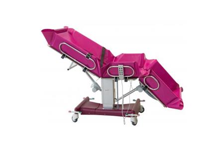 FRANCE REVAL - IRIS - IRIS